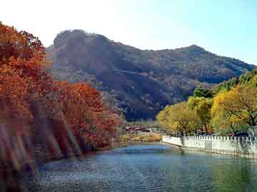 管家婆黑白马报图库，永生纵横